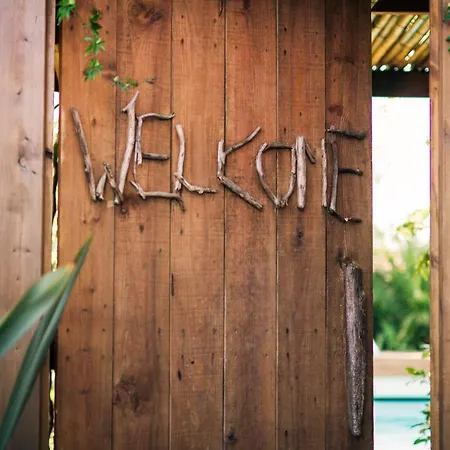 Bed & Breakfast Pura Vida