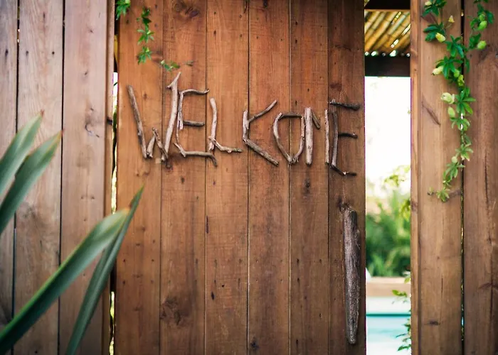 Bed & Breakfast Pura Vida